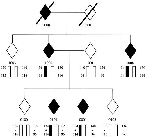 Figure  1