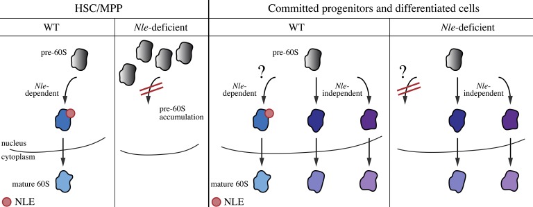 Figure 10.