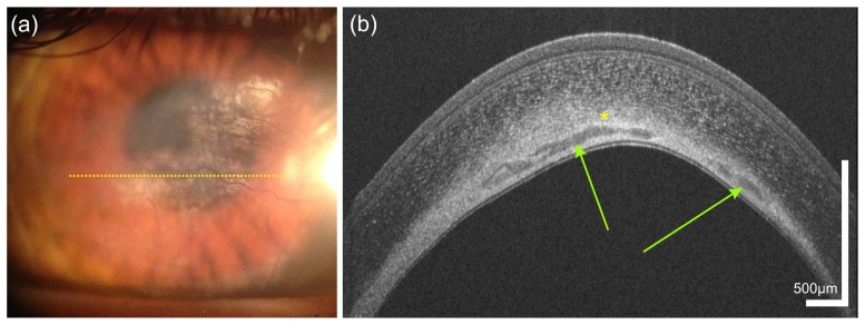 Fig. 9