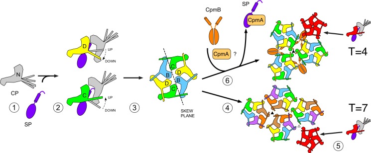 Figure 10.