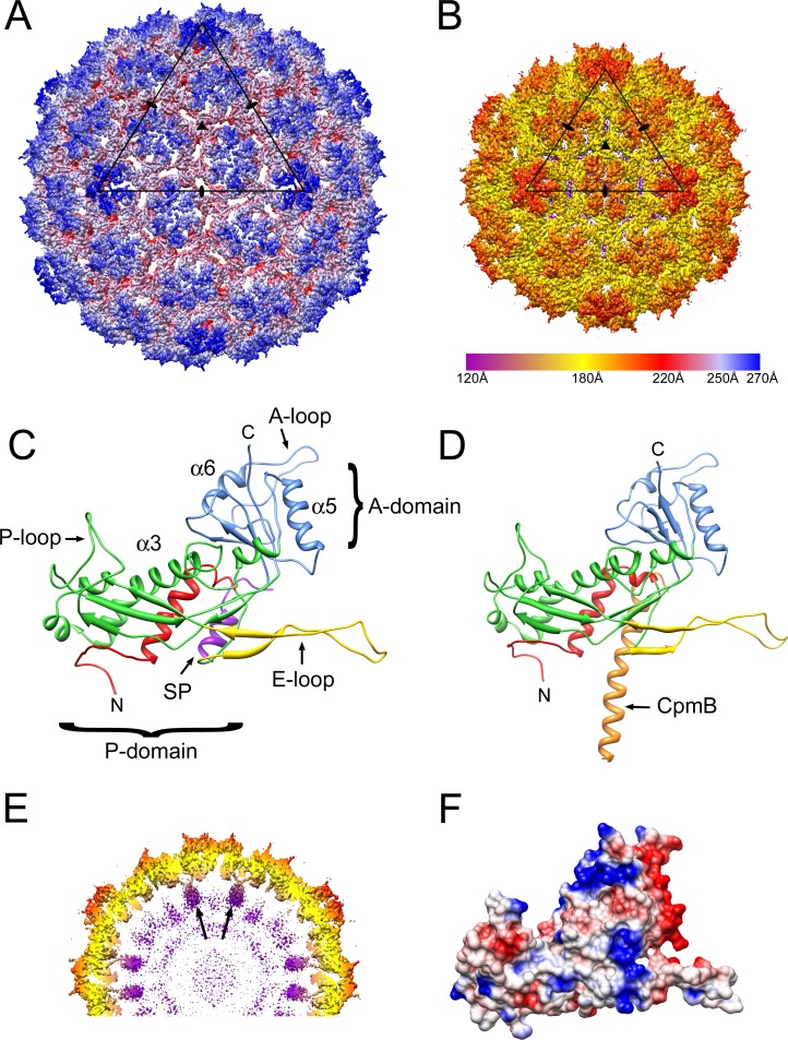 Figure 3.