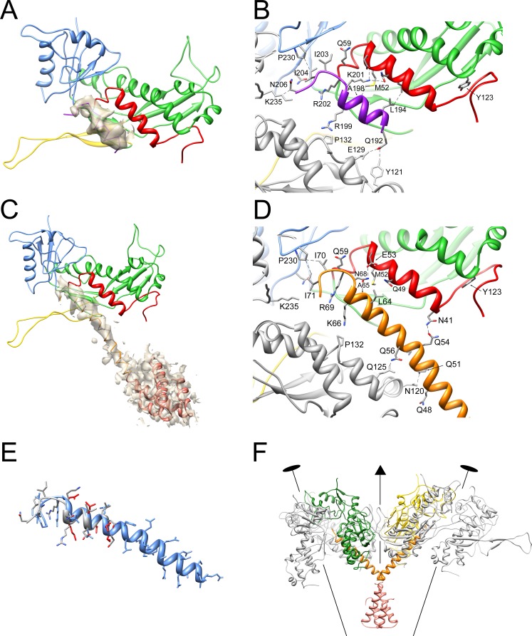 Figure 7.