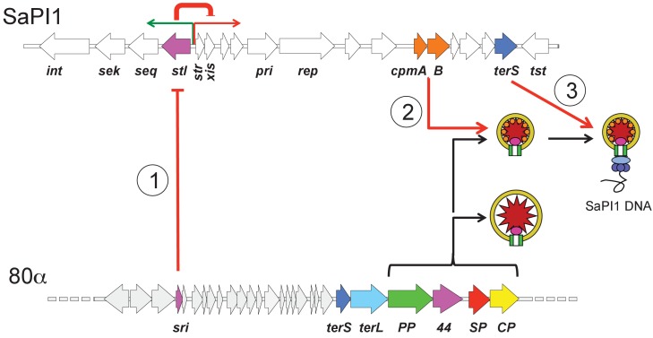 Figure 1.