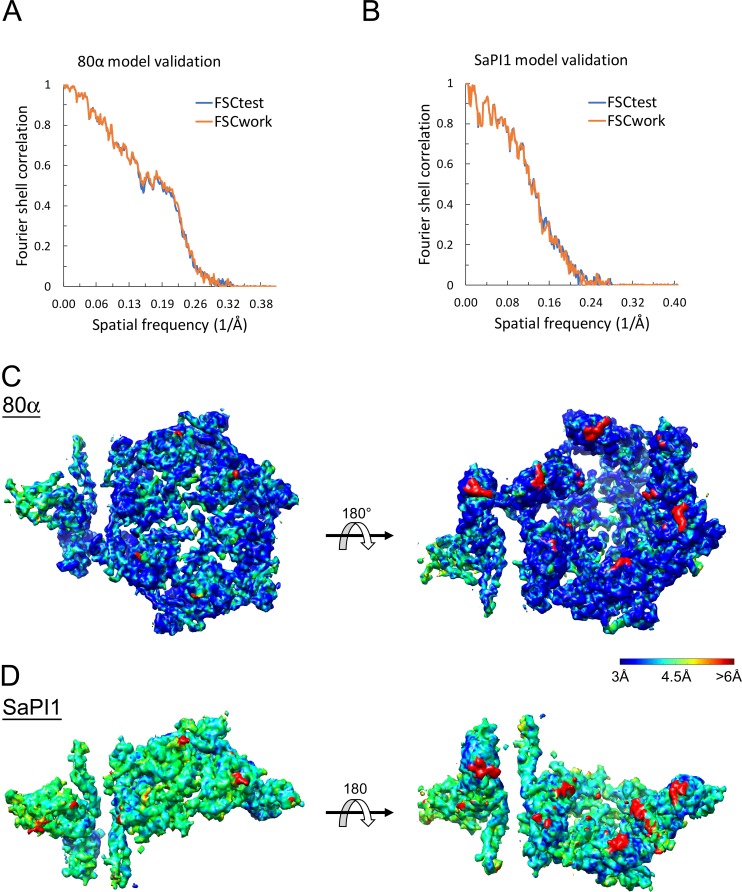 Figure 3—figure supplement 2.