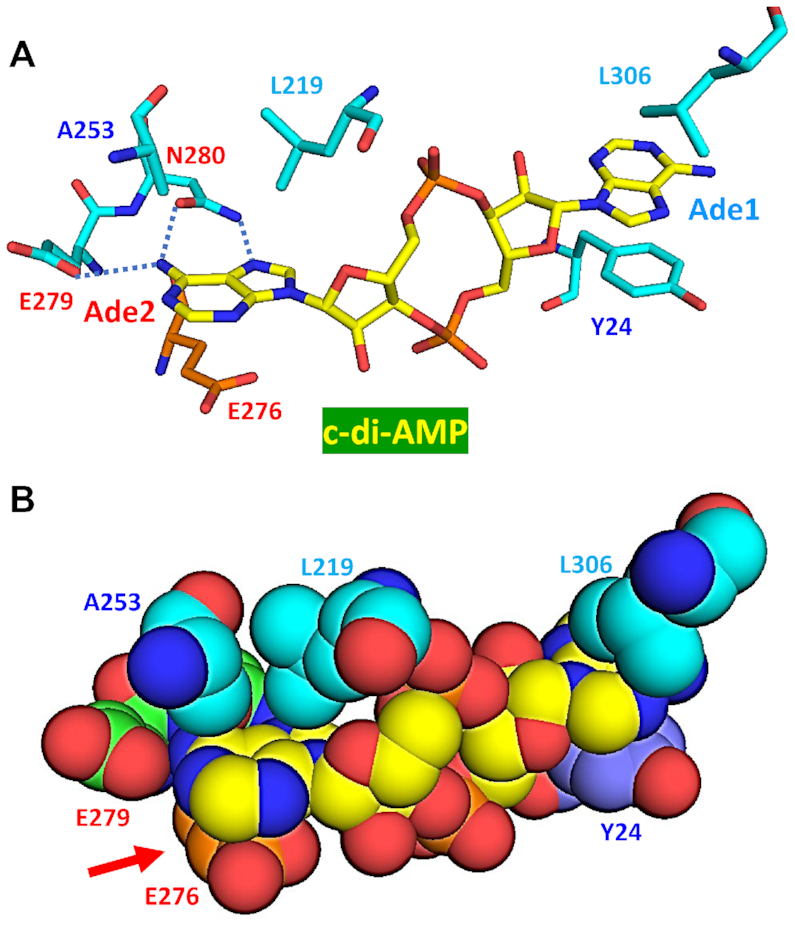 Figure 9.