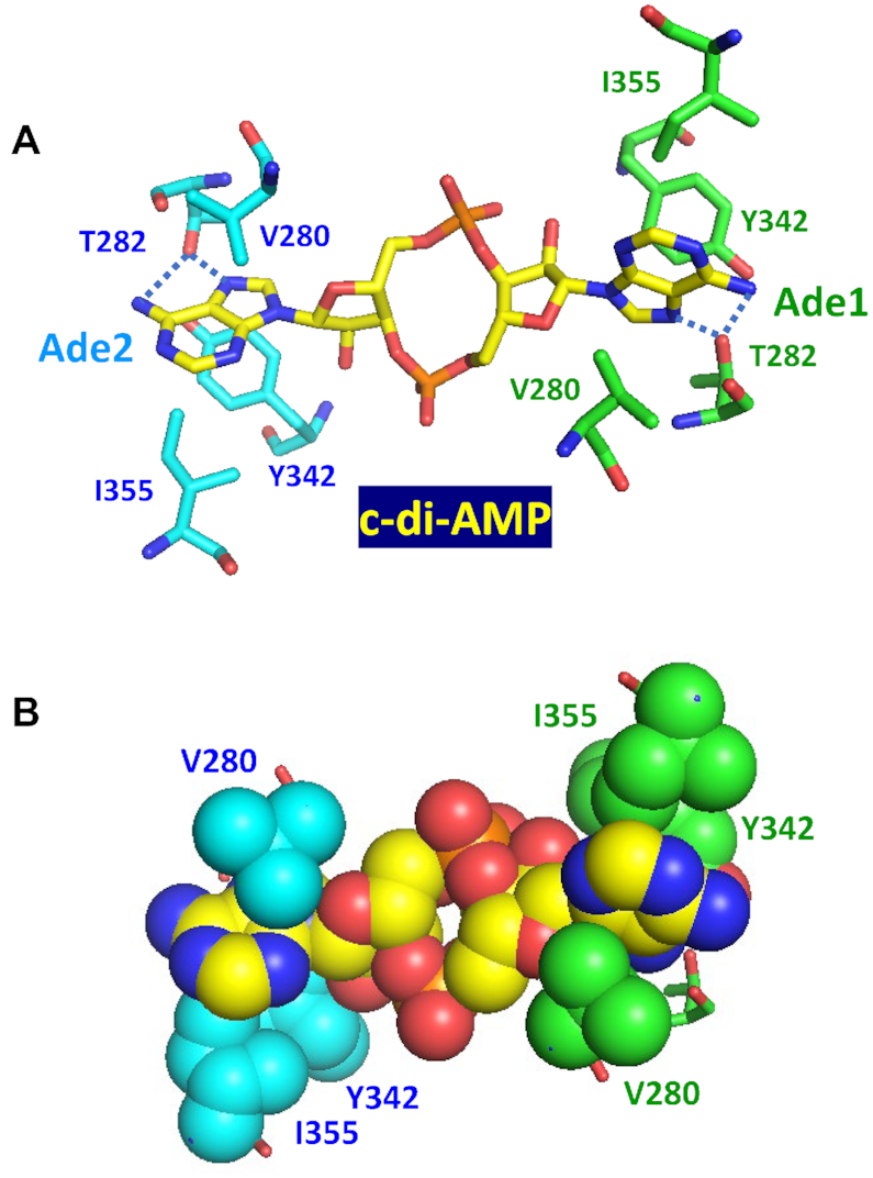 Figure 6.