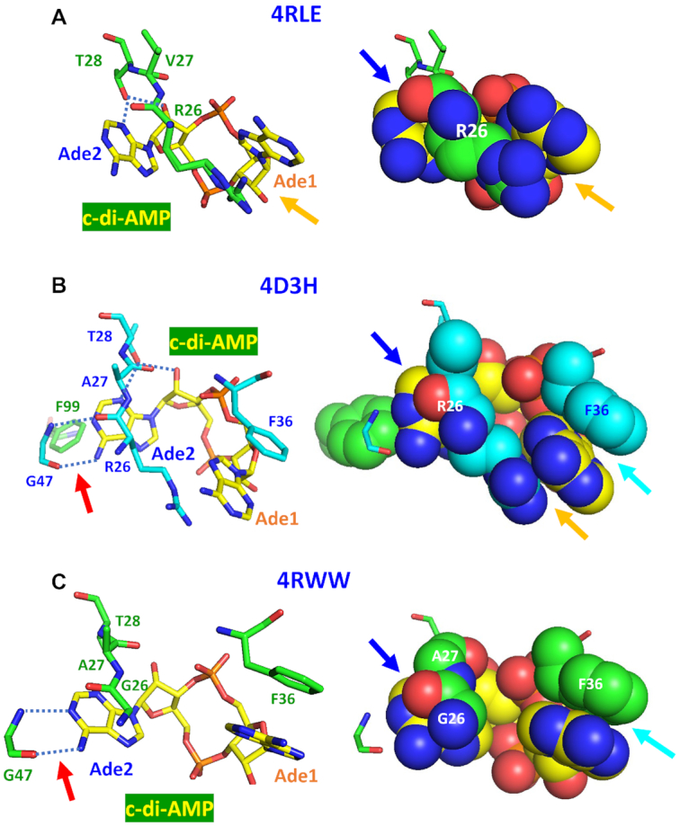 Figure 7.