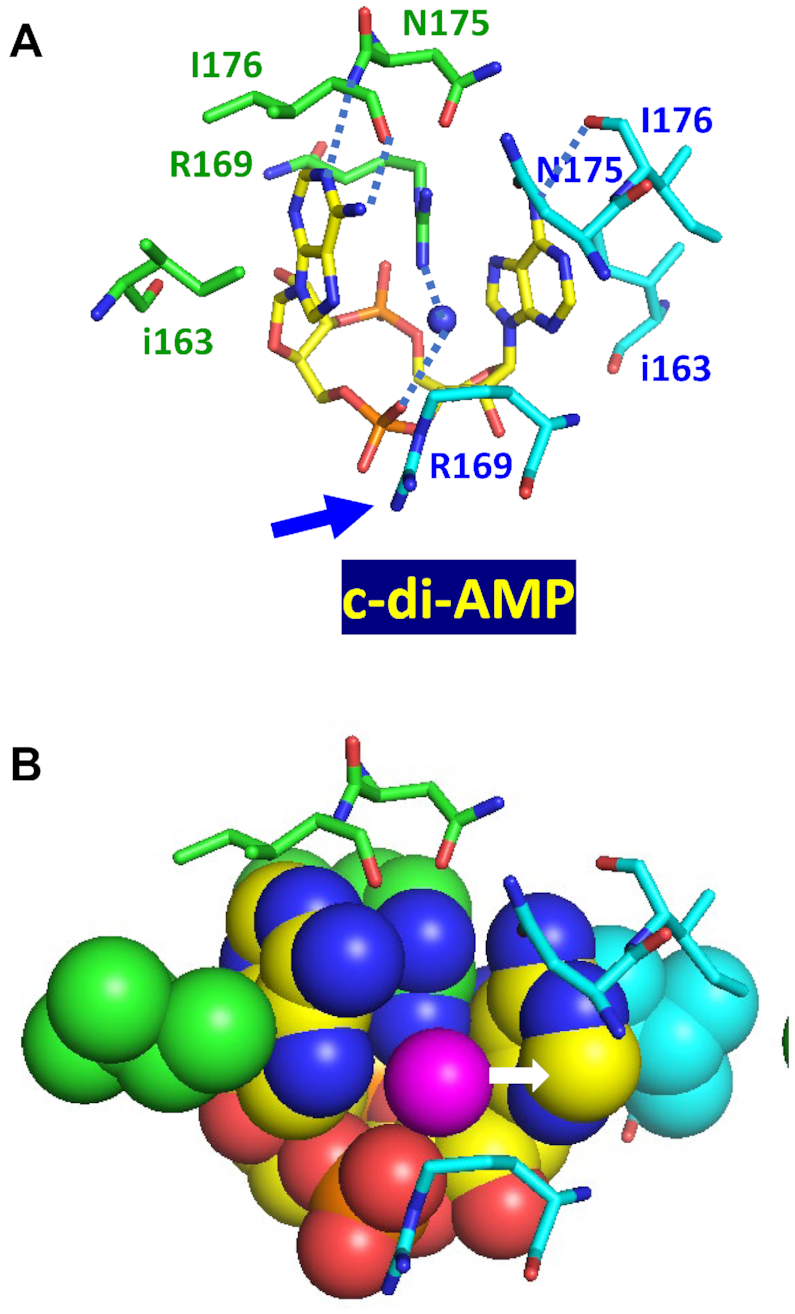 Figure 5.