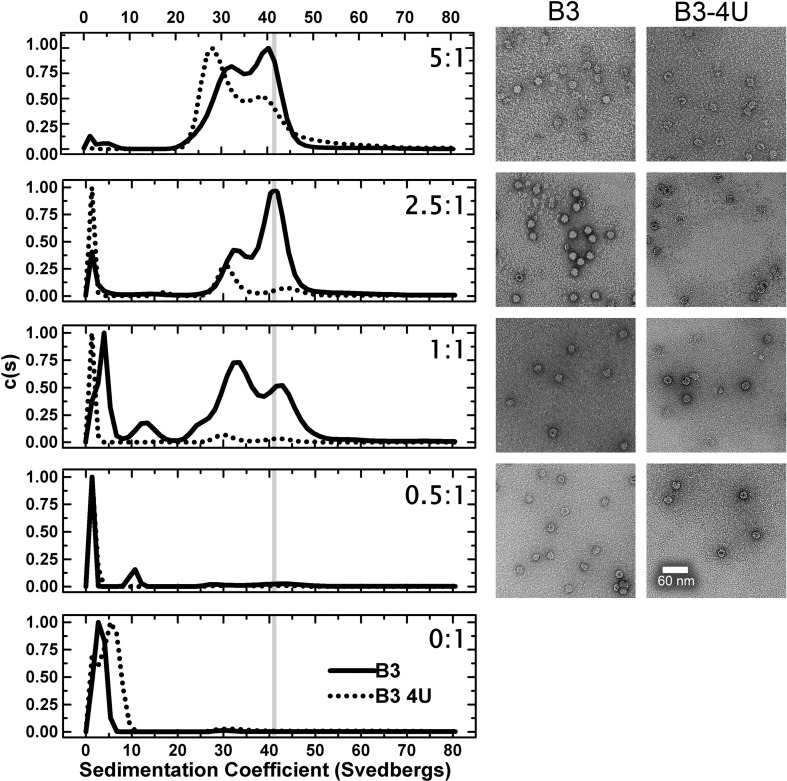 Fig. 2