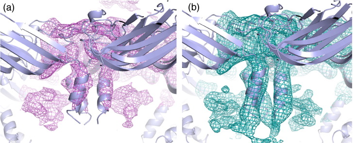 Supplementary Fig. S1