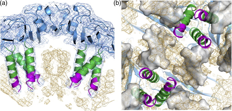 Fig. 4