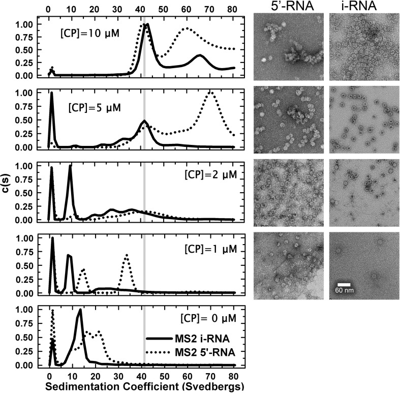 Supplementary Fig. 4