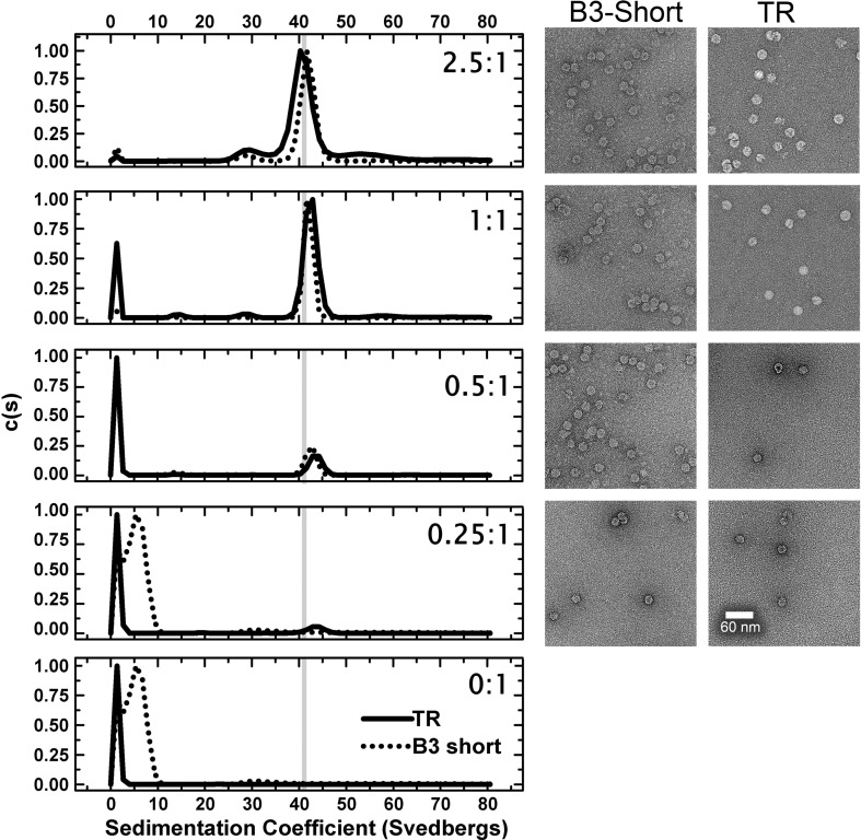 Fig. 3