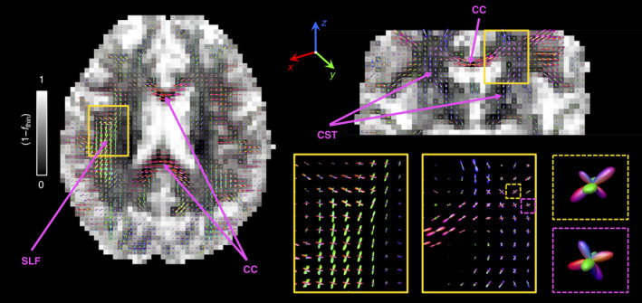 FIGURE 4