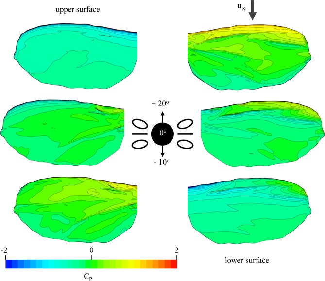 Fig 10