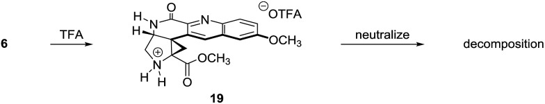 Scheme 3