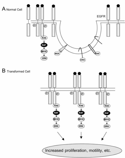 Fig. (3)