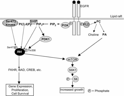 Fig. (2)