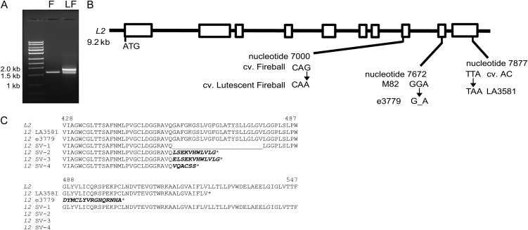 Figure 7.