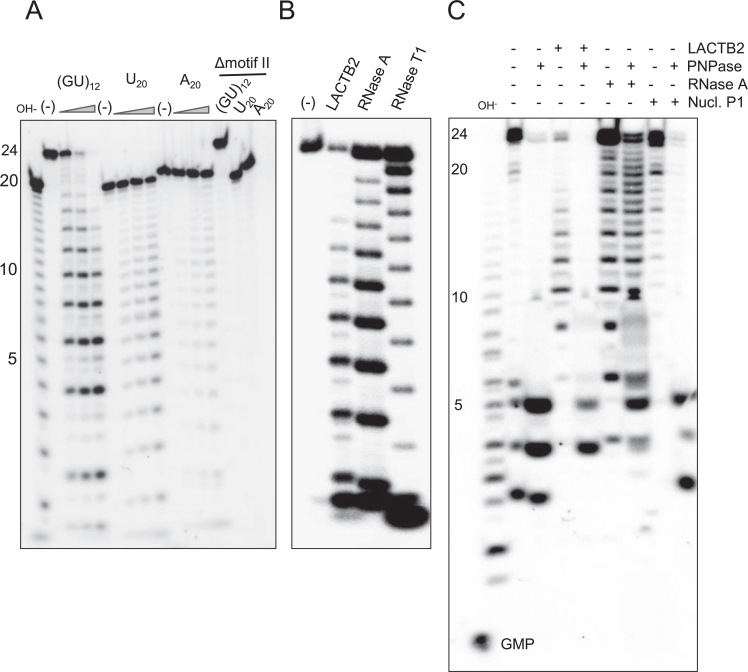 Figure 5.