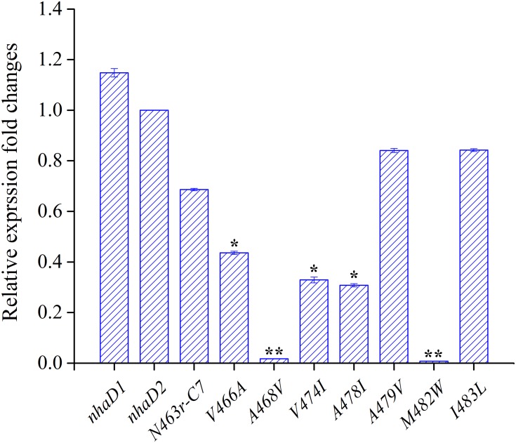 FIGURE 7