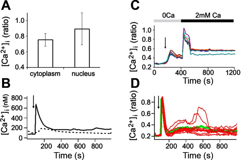 Fig. 2.