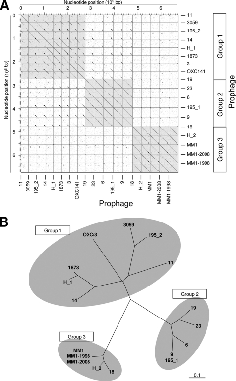 FIG. 1.