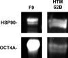 <b>FIG. 3.</b>