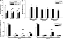 <b>FIG. 2.</b>