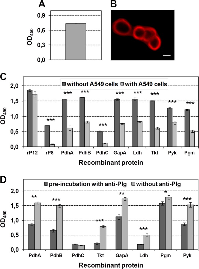 FIG 6