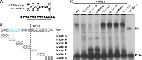 FIGURE 3.