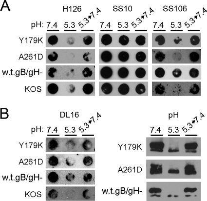 Fig. 6.