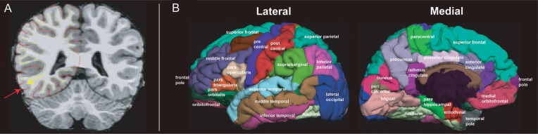 Figure 1.