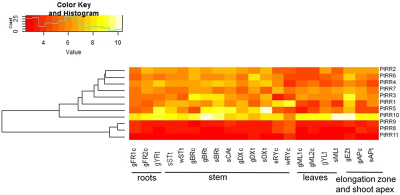 FIGURE 9