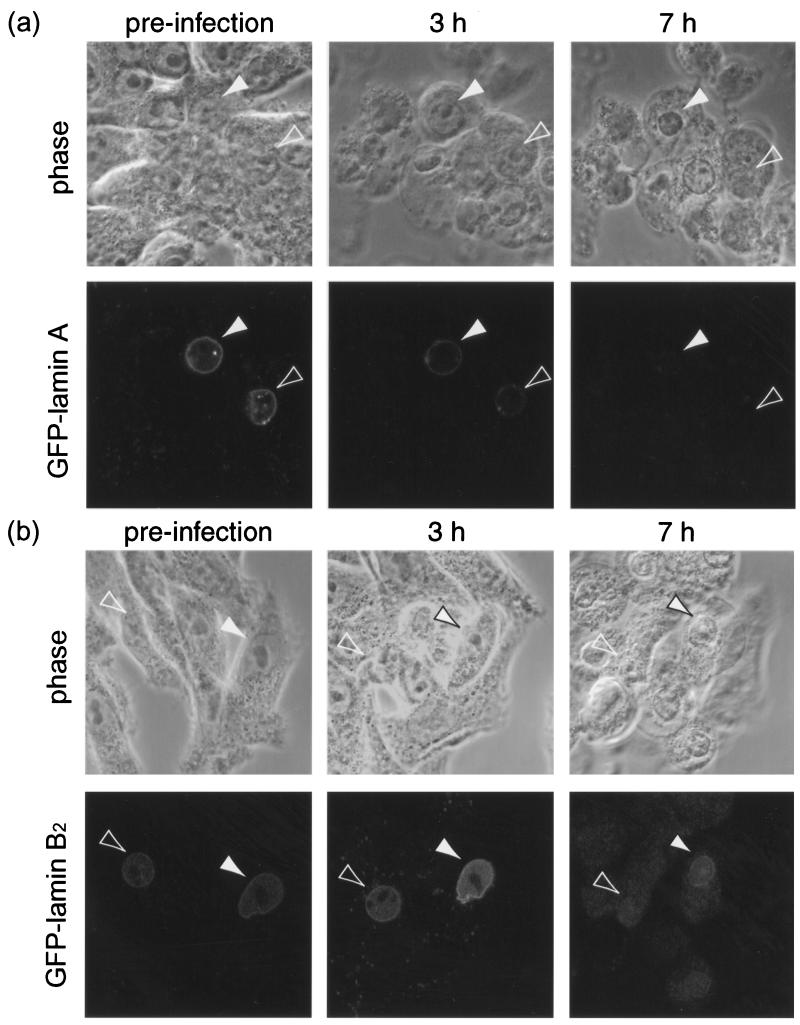 FIG. 8