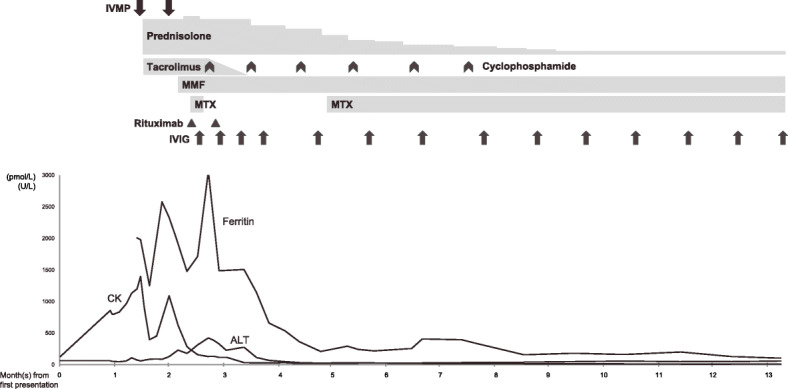 Fig. 3