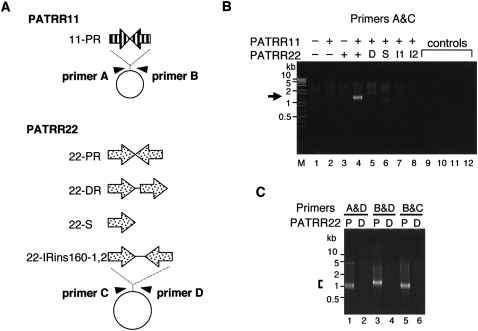 Figure 1.