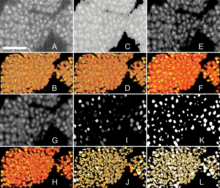 Fig. 4.