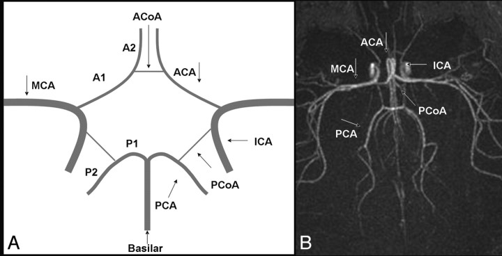 Fig 1.