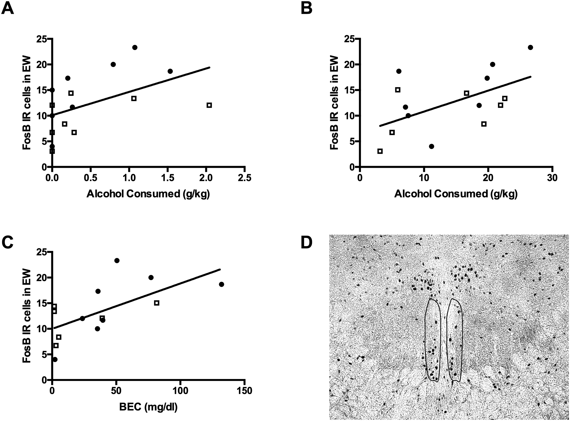 Figure 4: