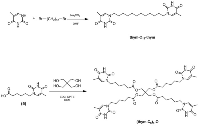 Scheme 4