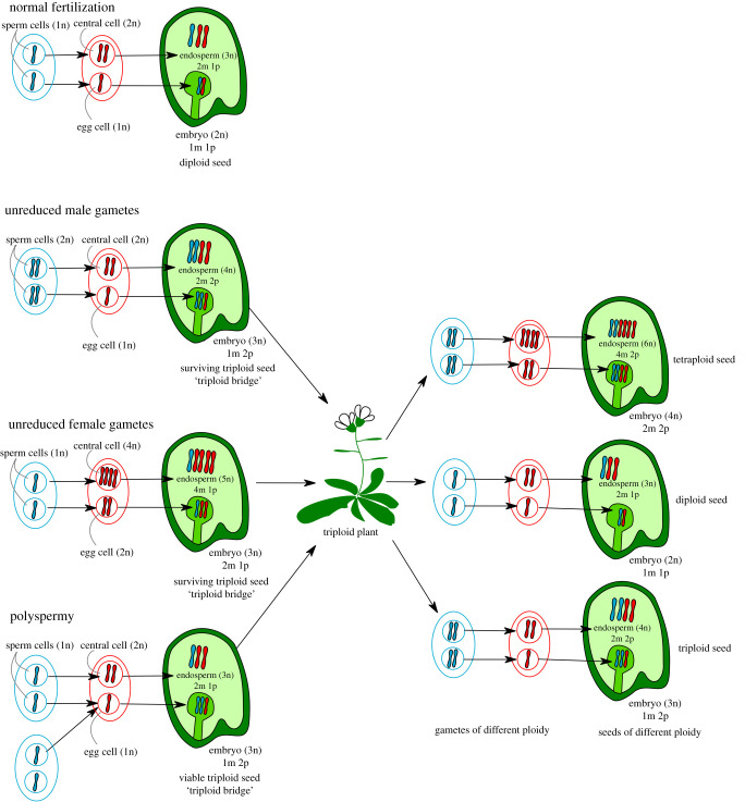 Figure 3. 