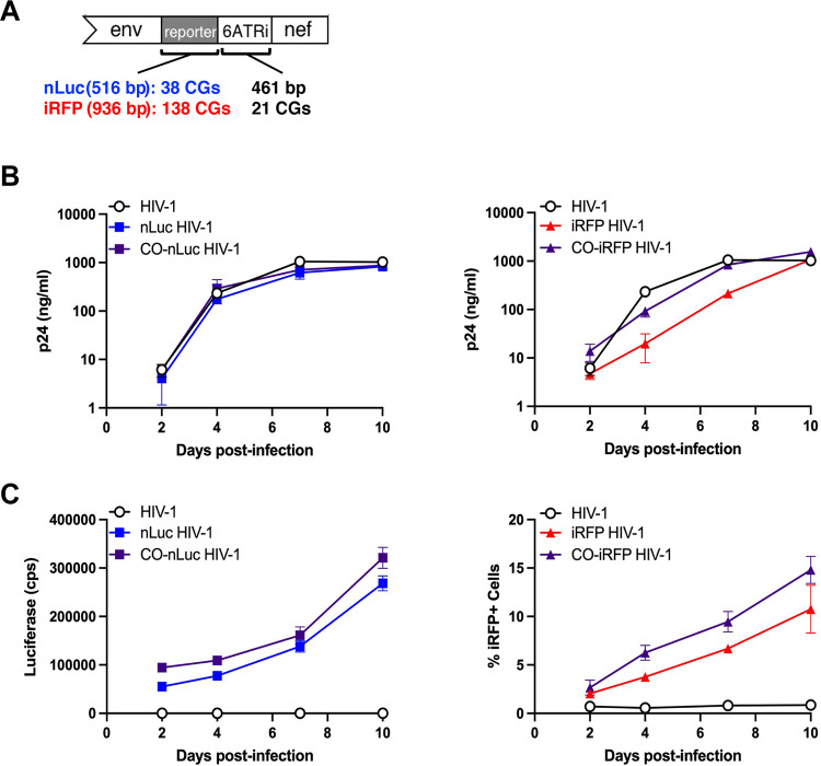 FIG 4