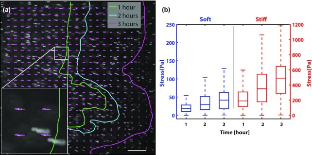 Fig. 7.