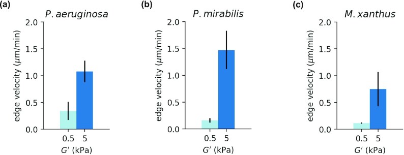 Fig. 5.