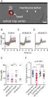 FIGURE 7: