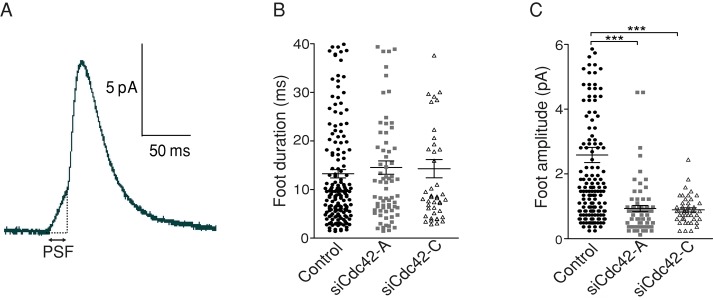 FIGURE 5: