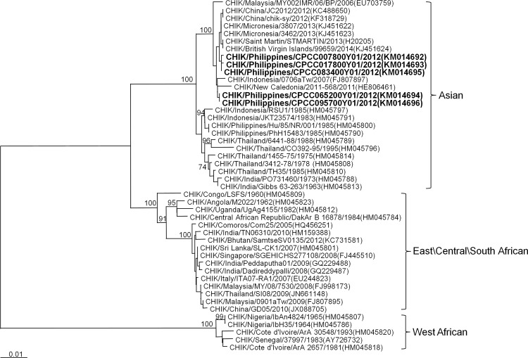 Fig 3