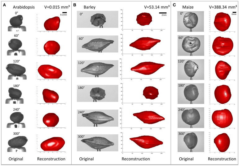 Figure 10