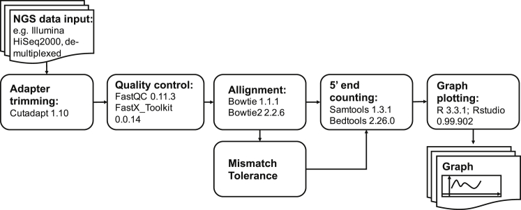 Figure 2